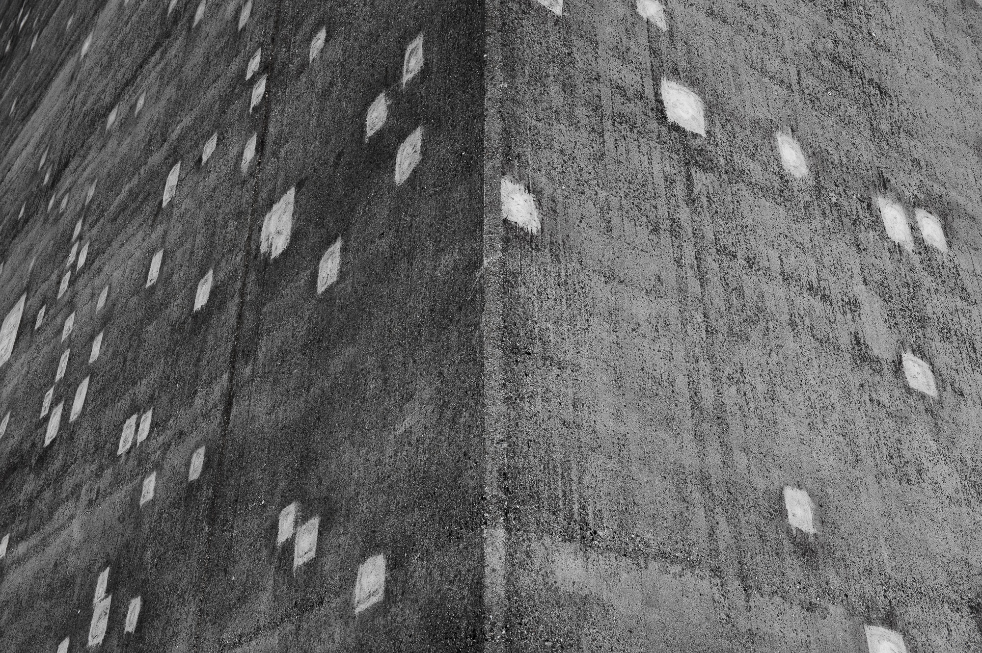 DSC 2362